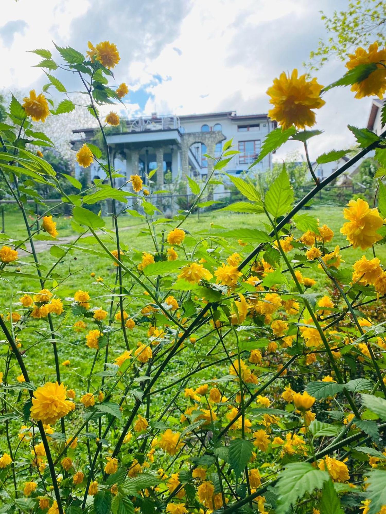 Rapsodia Pension Hotel Suceava Exterior photo